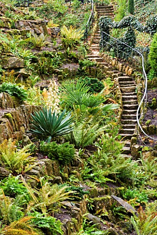 BRODSWORTH_HALL__YORKSHIRE_ENGLISH_HERITAGE_THE_VICTORIAN_FERNERY