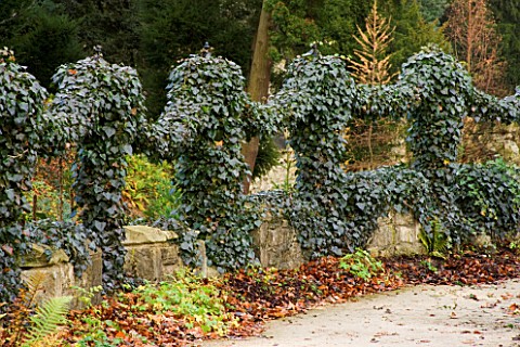 BRODSWORTH_HALL__YORKSHIRE_ENGLISH_HERITAGE_IVY_HANGING_FROM_RAILINGS_BESIDE_A_PATH