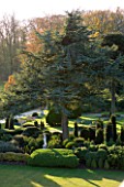 BRODSWORTH HALL  YORKSHIRE: ENGLISH HERITAGE. VIEW OF LAWN  MONKEY PUZZLE TREE AND EVERGREEN TOPIARY BORDERS FROM THE ROOF OF THE HALL