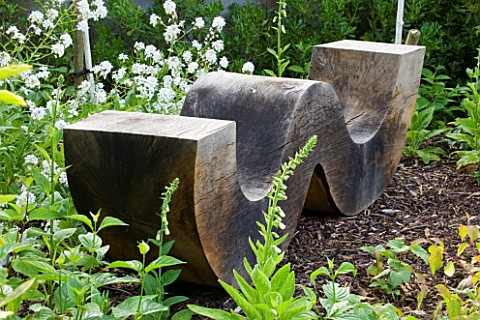 RICHARD_JACKSONS_GARDEN_DESIGNED_BY_CLARE_MATTHEWS_WOODLAND_AREA_WITH_WOODEN_BENCH__SEAT__A_PLACE_TO