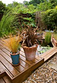KATHY TAYLORS GARDEN  LONDON: POND/ POOL AND DECKED TERRACE WITH CONTAINERS PLANTED WITH PHORMIUM AND GRASSES BESIDE GRAVEL PATH