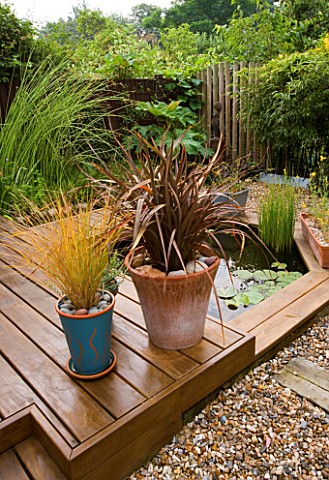 KATHY_TAYLORS_GARDEN__LONDON_POND_POOL_AND_DECKED_TERRACE_WITH_CONTAINERS_PLANTED_WITH_PHORMIUM_AND_
