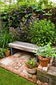 KATHY TAYLORS GARDEN  LONDON: A PLACE TO SIT: WOODEN SEAT/ BENCH SURROUNDED BY FOLIAGE PLANTS INCLUDING COTINUS GRACE