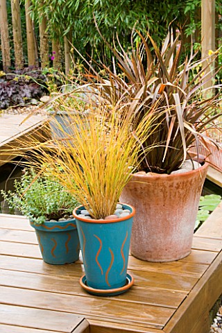 KATHY_TAYLORS_GARDEN__LONDON_DECKED_TERRACE_WITH_THREE_CONTAINERS_PLANTED_WITH_PHORMIUMS_AND_GRASSES
