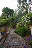 KATHY TAYLORS GARDEN  LONDON: VIEW ALONG GRAVEL PATH WITH SLEEPERS TO SHED COVERED BY PHORMIUM AND EUCALYPTUS PAUCIFLORA SUBSP DEBEUZEVILLE