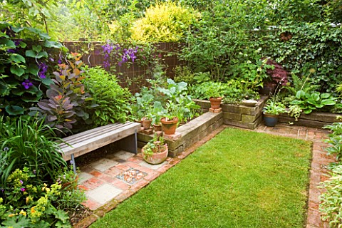 KATHY_TAYLORS_GARDEN__LONDON_A_PLACE_TO_SIT_BACK_GARDEN_WITH_LAWN_AND_WOODEN_BENCH_SEAT