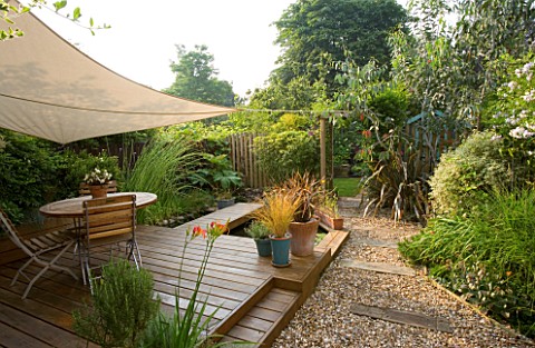 EXOTIC_SHADE_PLANTING_OF_GRASSES__PHORMIUM__BAMBOO__ROSEMARY_AND_OTHER_FOLIAGE_PLANTS_WITH_CANOPY_OV