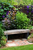 KATHY TAYLORS GARDEN  LONDON: A PLACE TO SIT - WOODEN SEAT/ BENCH SURROUNDED BY COTINUS GRACE