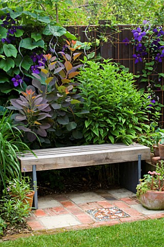 KATHY_TAYLORS_GARDEN__LONDON_A_PLACE_TO_SIT__WOODEN_SEAT_BENCH_SURROUNDED_BY_COTINUS_GRACE