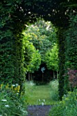 VEDDW HOUSE GARDEN  GWENT  WALES. THE MEADOW  - VIEW THROUGH HORNBEAM TUNNEL TO AVENUE OF CLIPPED CORYLUS COLURNA TO DOVE CUT OUT