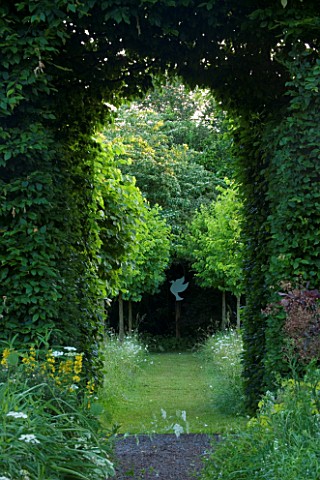 VEDDW_HOUSE_GARDEN__GWENT__WALES_THE_MEADOW___VIEW_THROUGH_HORNBEAM_TUNNEL_TO_AVENUE_OF_CLIPPED_CORY