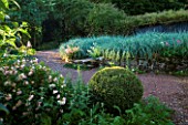 VEDDW HOUSE GARDEN  GWENT  WALES: DESIGNERS ANNE WAREHAM AND CHARLES HAWES - MASSED PLANTING OF LEYMUS ARENARIUS BESIDE A PATH
