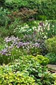 HUNMANBY GRANGE  YORKSHIRE: HERBACEOUS BORDER WITH VARIEGATED LEMON BALM (MELISSA)  CHIVES (ALLIUM SCHOENOPRASUM)  PAEONIA MLOKOSEWITSCHII OR MOLLY THE WITCH