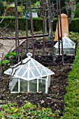 WOODPECKERS  WARWICKSHIRE  WINTER: OLD FASHIONED CLOCHES IN THE VEGETABLE GARDEN IN WINTER