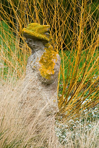 WOODPECKERS__WARWICKSHIRE__WINTER_STATUE_WITH_LICHEN_IN_FRONT_OF_SALIX_ALBA_HUTCHINSONS_YELLOW