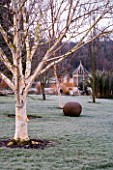 WOODPECKERS  WARWICKSHIRE  WINTER: VIEW TO WOODEN SUMMERHOUSE ACROSS LAWN WITH BETULA UTILIS VAR JACQUEMONTII AND WOVEN WILLOW BALL SCULPTURE