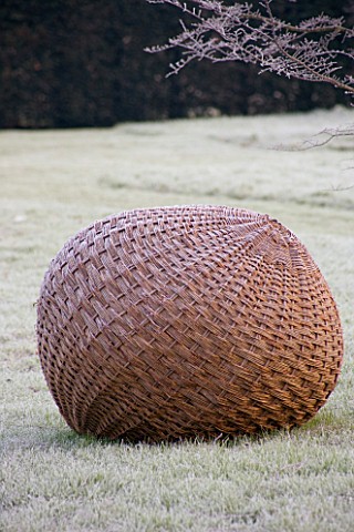 WOODPECKERS__WARWICKSHIRE__WINTER_WOVEN_WILLOW__BALL_SCULPTURE_ON_FROSTED_LAWN