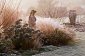 WOODPECKERS  WARWICKSHIRE  WINTER: FROSTY BORDER OF GRASSES  A STATUE AND EUPHORBIA WITH A LARGE EMPTY CONTAINER BEHIND