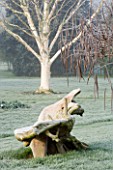 ORNAMENTAL WOODEN SEAT-LIKE SCULPTURE IN FROST AT WOODPECKERS  WARWICKSHIRE  WINTER  WITH BETULA UTILIS VAR JACQUEMONTII BEHIND
