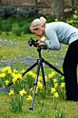 BLOND HAIRED GIRL  PHOTOGRAPHING WITH A TRIPOD IN A SPRING GARDEN