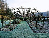 A TUNNEL OF ESPALIERED APPLE TREES IN THE OLD COB-WALLED VEGETABLE GARDEN AT HEALE HOUSE  WILTSHIRE