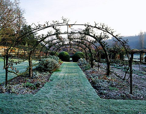 A_TUNNEL_OF_ESPALIERED_APPLE_TREES_IN_THE_OLD_COBWALLED_VEGETABLE_GARDEN_AT_HEALE_HOUSE__WILTSHIRE
