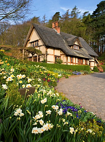 LITTLE_LARFORD__WORCESTERSHIRE_DESIGNER_DEREK_WALKER__VIEW_UP_THE_DRIVE_TO_THE_COTTAGE_IN_SPRING_WIT