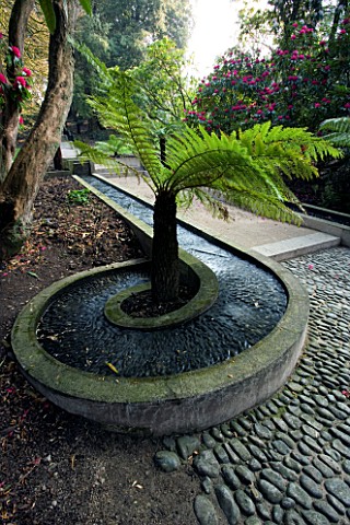 HOLKER_HALL__CUMBRIA__WATER_RILL_CURVING_AROUND_TREE_FERN_ON_THE_LIMESTONE_CASCADE