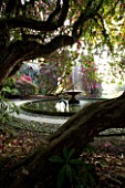 HOLKER HALL  CUMBRIA - VIEW TO THE FOUNTAIN THROUGH THE BRANCHES OF RHODODENDRONS
