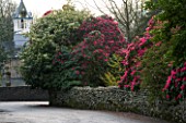 HOLKER HALL  CUMBRIA - RHODODENDRONS BESIDE A WALL