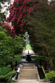 HOLKER HALL  CUMBRIA - RHODODENDRONS  AND TREE FERNS BESIDE THE FOUNTAIN  POOL AND LIMESTONE CASCADE