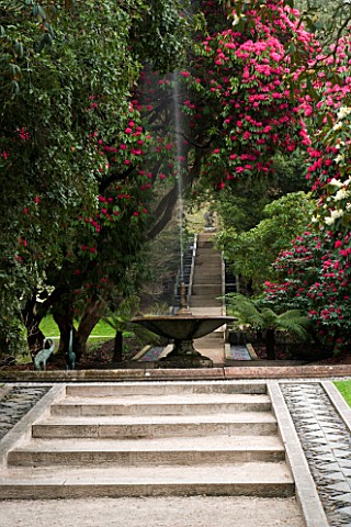 HOLKER_HALL__CUMBRIA__THE_FOUNTAIN_AND_POOL_SEEN_FROM_STEPS_BELOW__THE_LIMESTONE_CASCADE