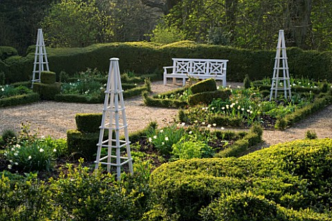 KELMARSH_HALL__NORTHAMPTONSHIRE_FORMAL_GARDEN_IN_WOODLAND_IN_SPRING_WITH_BOX_HEDGING__TULIPS__WHITE_