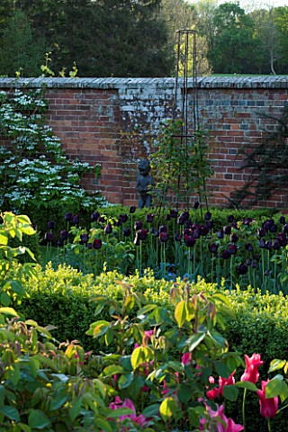 PASHLEY_MANOR__EAST_SUSSEX_BOX_GARDEN_IN_SPRING_WITH_SCULPTURE_BY_MARY_COX__SURROUNDED_BY_TULIP_QUEE