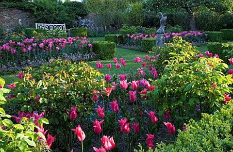 PASHLEY_MANOR__EAST_SUSSEX_BOX_GARDEN_IN_SPRING_WITH_SCULPTURE_BY_HELEN_SINCLAIR_SURROUNDED_BY_TULIP