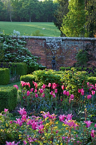 PASHLEY_MANOR__EAST_SUSSEX_BOX_GARDEN_IN_SPRING_WITH_SCULPTURE_BY_MARY_COX_SURROUNDED_BY_TULIP_QUEEN