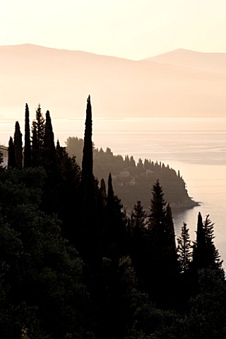 CORFU__GREECE_VIEW_OF_CYPRESS_TREES_WITH_THE_ALBANIAN_MOUNTAINS_IN_THE_DISTANCE_AT_DAWN_ON_THE_NORTH