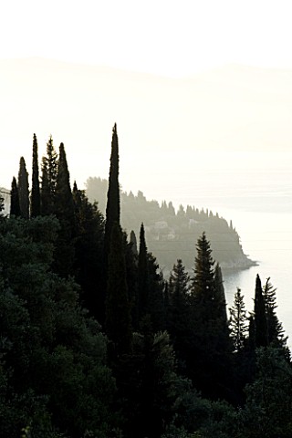 CORFU__GREECE_VIEW_OF_CYPRESS_TREES_WITH_THE_ALBANIAN_MOUNTAINS_IN_THE_DISTANCE_AT_DAWN_ON_THE_NORTH
