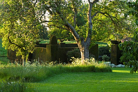WARDINGTON_MANOR_GARDEN__OXFORDSHIRE_VIEW_ACROSS_THE_LAWN_TO_MEADOW_AND_YEW_ENCLOSURE_IN_THE_EVNING