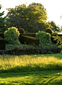 WARDINGTON MANOR GARDEN  OXFORDSHIRE: VIEW ACROSS LAWN AND MEADOW TO YEW BUTTRESSES IN THE EVENING LIGHT