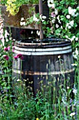 CHELSEA FLOWER SHOW 2007 - THE FETZER SUSTAINABLE WINERY GARDEN. TRADITIONAL HALF BARREL WATER BUTT FOR COLLECTING RAINWATER. RECYCLING  RECYCLED