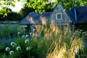THE OLD RECTORY  MIXBURY  NORTHANTS. DESIGNER: ANGEL COLLINS - BORDER IN SPRING WITH ALLIUM MOUNT EVEREST AND STIPA GIGANTEA