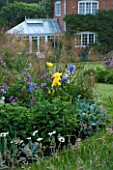 MARINERS GARDEN  BERKSHIRE. DESIGNER FENJA ANDERSON - HERBACEOUS BORDER WITH IRIS JANE PHILLIPS  HOSTAS AND STIPA GIGANTEA WITH THE HOUSE AND CONSERVATORY BEHIND