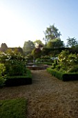 MARINERS GARDEN  BERKSHIRE. DESIGNER FENJA ANDERSON - THE ROSE GARDEN AT DAWN - ROSE PROSPERITY  ROSE COMPTE DE CHAMBORD  ROSA SANCTA AND BOX EDGING WITH FOUNTAIN IN THE CENTRE