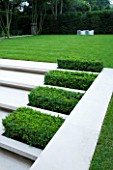 CONTEMPORARY GARDEN DESIGNED BY CHARLOTTE SANDERSON: BOX RECTANGLES SET INTO STEPS WITH LAWN AND WAVE SEAT BEHIND