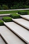 CONTEMPORARY TOWN/URBAN GARDEN DESIGNED BY CHARLOTTE SANDERSON: LIMESTONE STEPS WITH BOX RECTANGLES