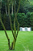 URBAN CONTEMPORARY MODERN MINIMALIST GARDEN DESIGNED BY CHARLOTTE SANDERSON: VIEW ACROSS LAWN TO MEATL WAVE SEAT. A PLACE TO SIT