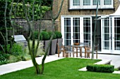 URBAN CONTEMPORARY MODERN MINIMALIST GARDEN DESIGNED BY CHARLOTTE SANDERSON: VIEW ACROSS LAWN WITH PATIO WITH WOODEN TABLE AND CHAIRS AND PAVING  CONTAINERS WITH BOX BALLS