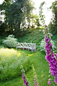 THE OLD RECTORY  HASELBECH  NORTHAMPTONSHIRE. A PLACE TO SIT - EARLY MORNING SUNLIGHT HITS BEAUTIFUL WOODEN BENCH/ SEAT AND FOXGLOVES BESIDE WILDFLOWER MEADOW