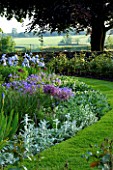 THE OLD RECTORY  HASELBECH  NORTHAMPTONSHIRE: SUMMER BORDER BESIDE GRASS WITH ALLIUM CHRISTOPHII  GERANIUM JOHNSONS BLUE  STACHYS AND IRIS JANE PHILLIPS